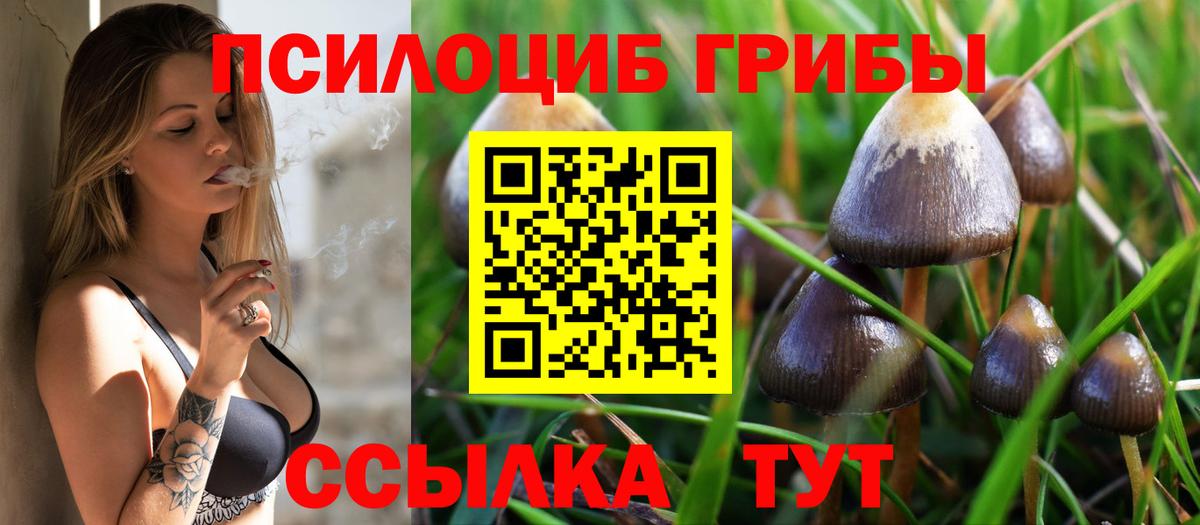Галлюциногенные грибы MAGIC MUSHROOMS Елабуга