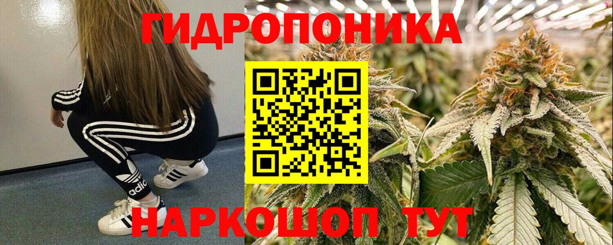 Елабуга  МАРИХУАНА сатива  Вход с VPN  Бошки Шишки MAZAR 